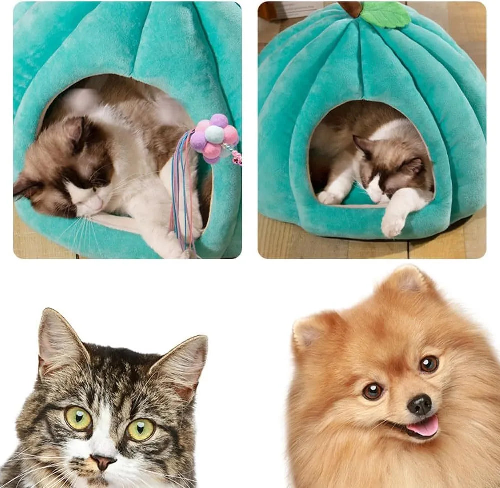 Pumpkin-shaped semi-enclosed cat bed in blue, grey, or yellow with a removable interior mat.