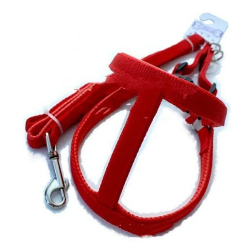 Blue nylon pet harness with soft foam lining and adjustable chest strap for dog walking