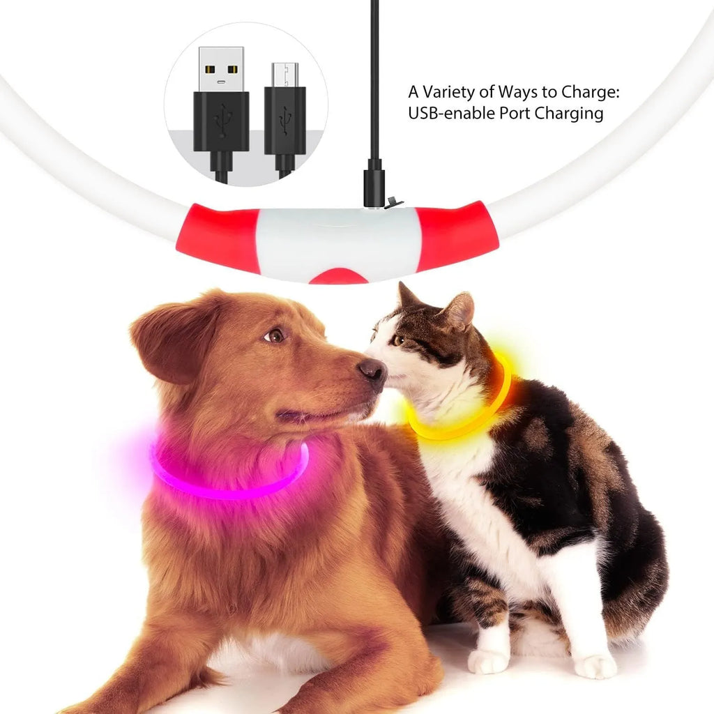 USB rechargeable LED dog collar glowing blue on dog's neck with adjustable TPU strap