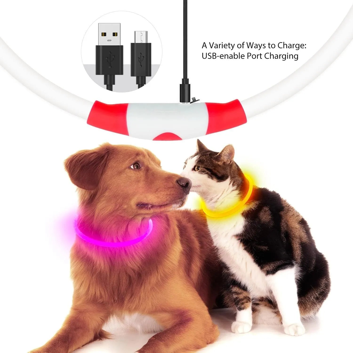 USB rechargeable LED dog collar glowing blue on dog's neck with adjustable TPU strap