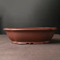 Handmade purple clay bonsai basin with classical Chinese design measuring 25cm by 20cm