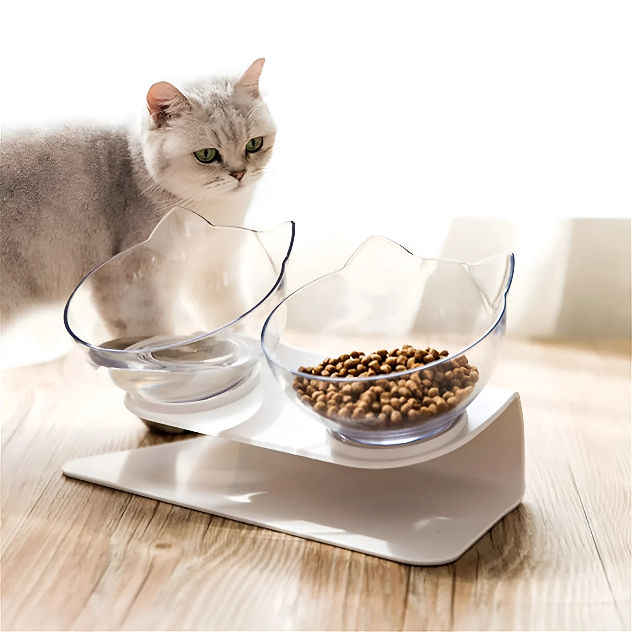 Non slip double cat bowl with raised stand transparent plastic pet feeder for dogs and cats