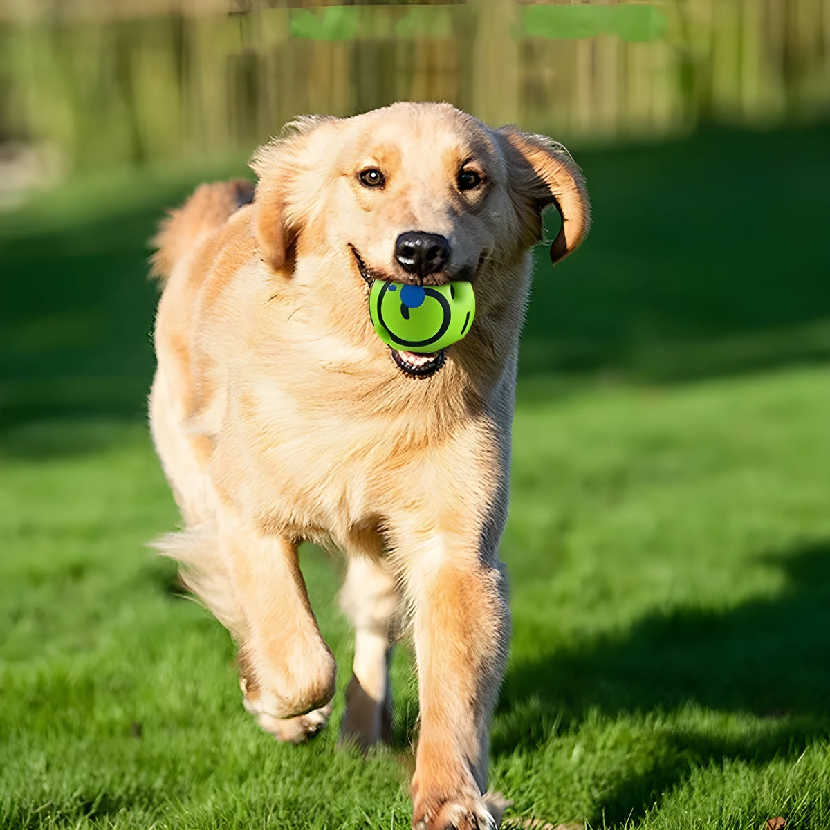PVC dog leakage ball in 8cm, 8.8cm, 10cm, and 14cm sizes for food dispensing play