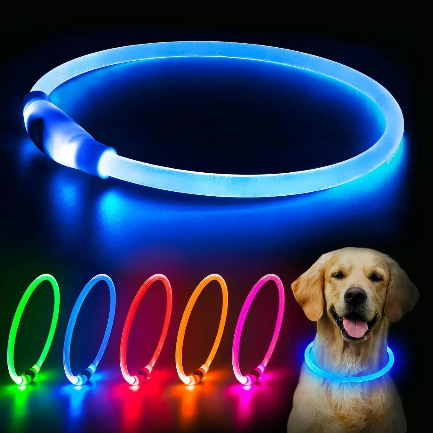 USB rechargeable LED dog collar glowing blue on dog's neck with adjustable TPU strap