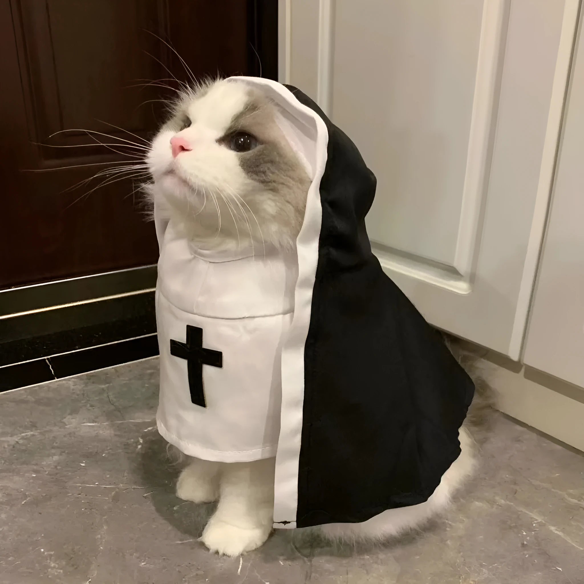 Black and white nun costume for small to medium dogs and cats with pullover design