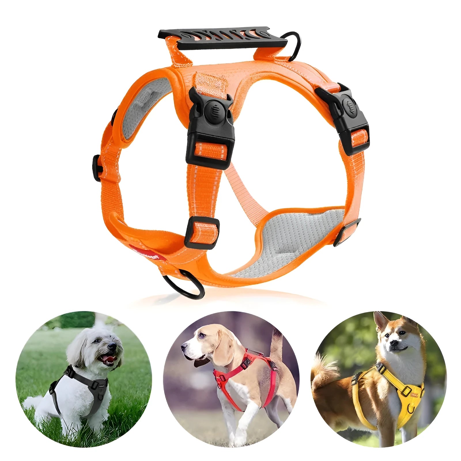 A polyester dog chest harness and lead set shown in a choice of colours including red and blue.