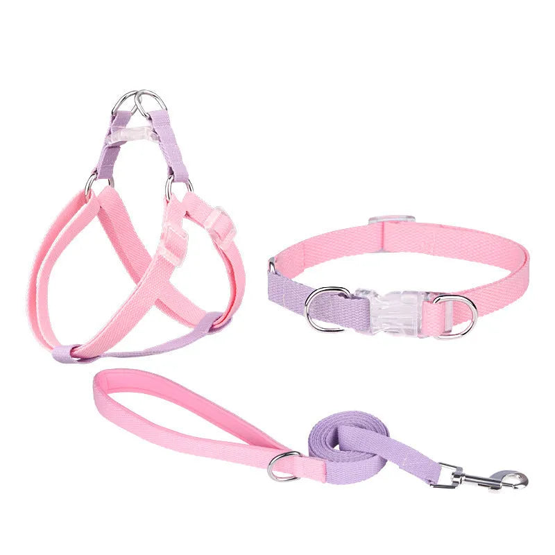 Polyester ribbon dog collar and leash set with adjustable collar and chest strap in five colour options