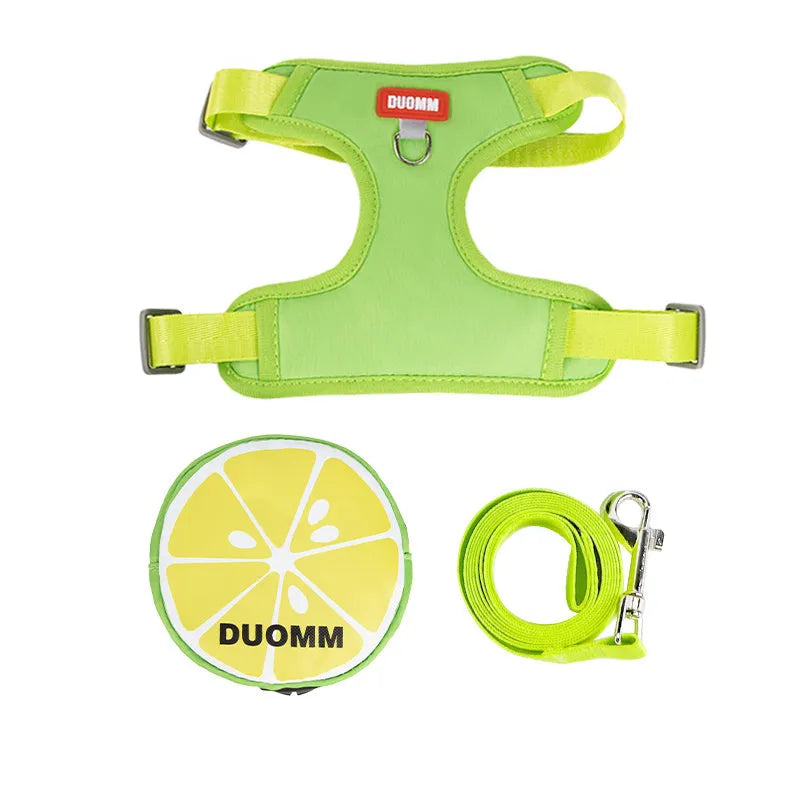 Pet backpack chest strap set with anti-slip rope in green, orange or pink colours