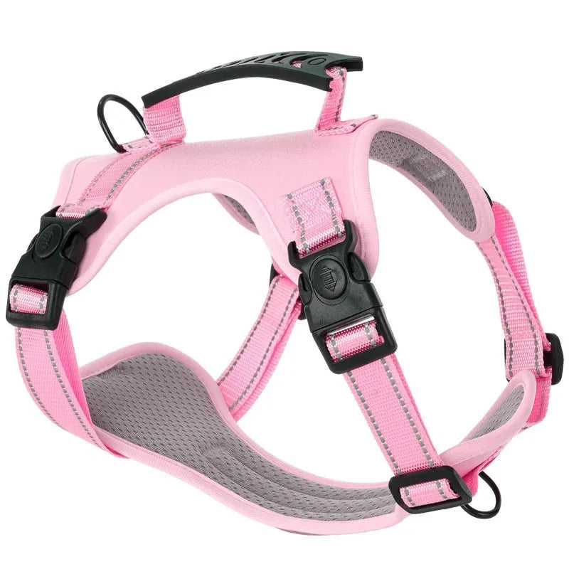 A polyester dog chest harness and lead set shown in a choice of colours including red and blue.