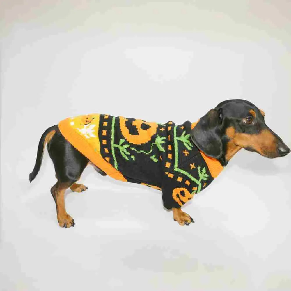 Warm pumpkin coloured polyester pet sweater for dogs and cats, shown on a pet, with size range XS to XL