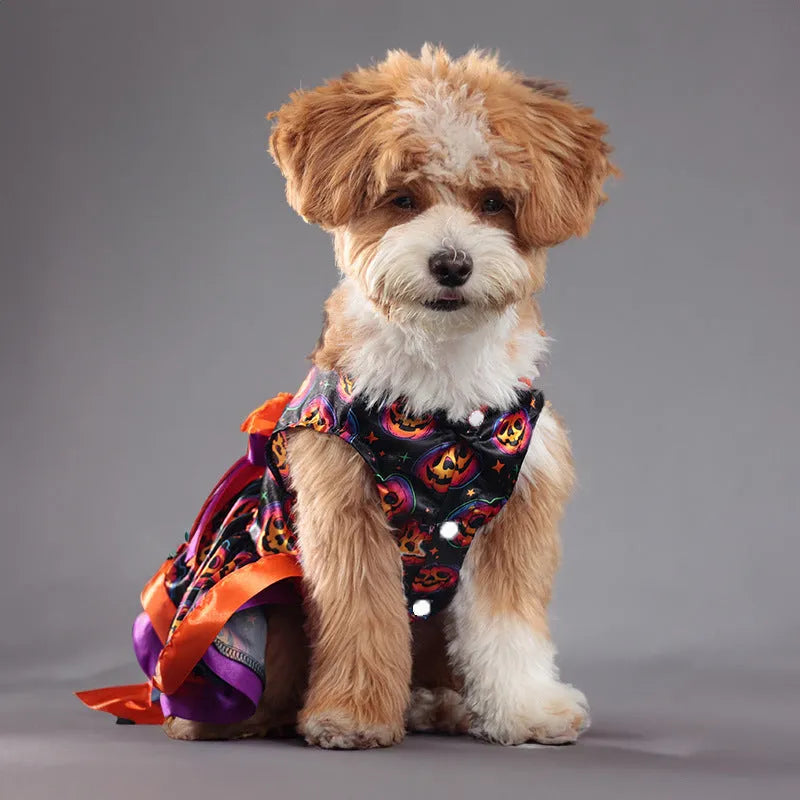 Colourful double-layer Halloween dog skirt with pumpkin print, shown in size M.
