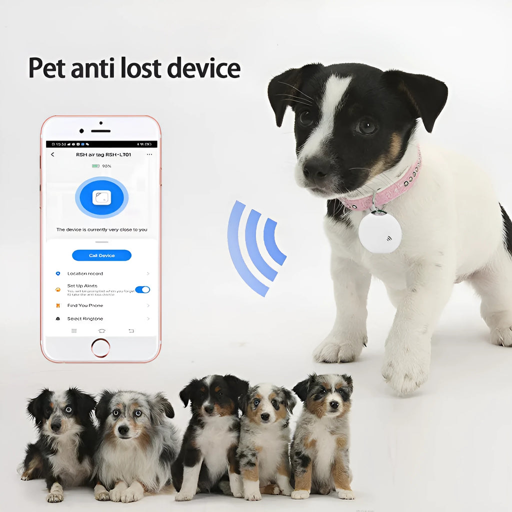 Plastic Bluetooth pet tracker in white, 40x40x10mm, on a cat collar