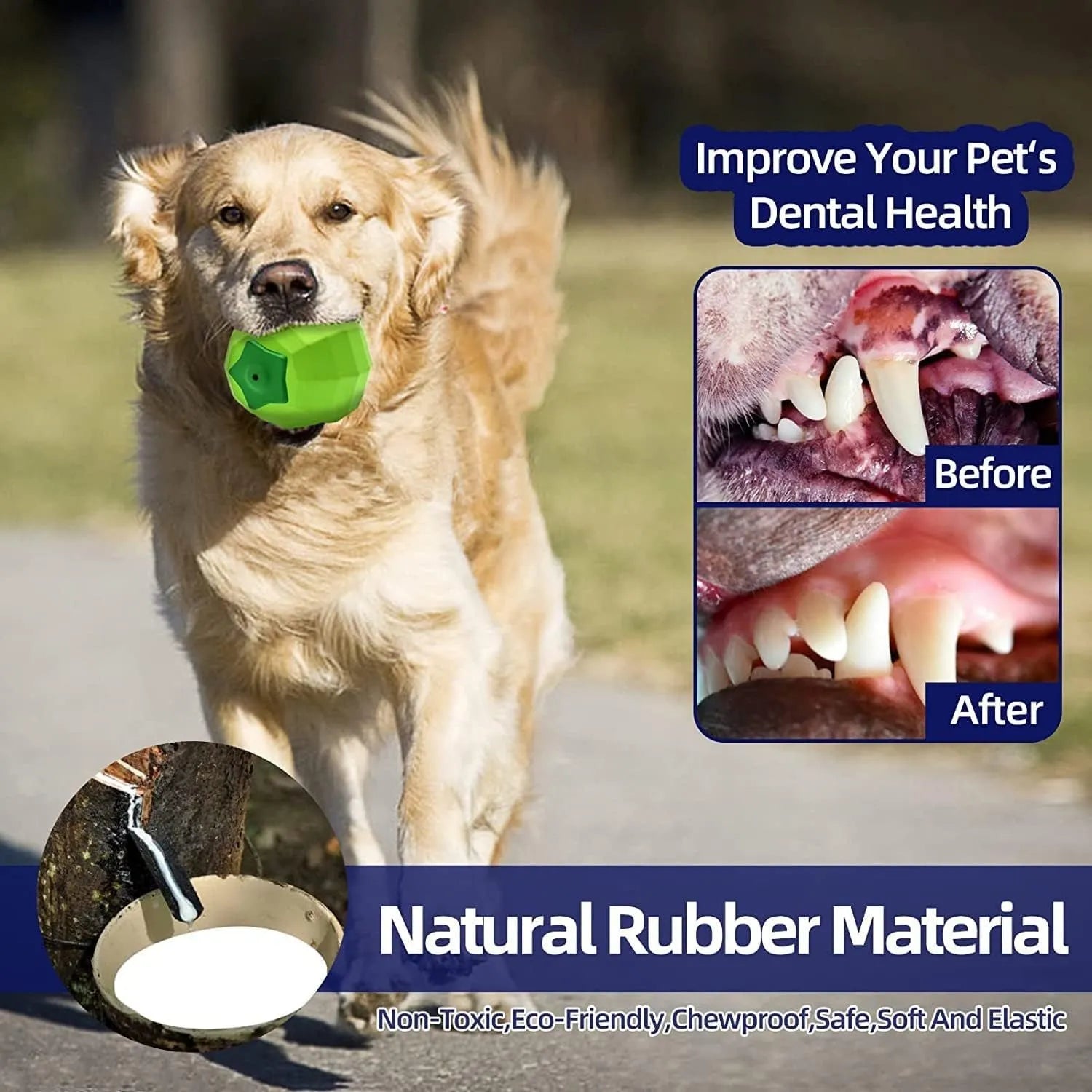 Green natural rubber dog chew toy with squeaker for medium to large breed aggressive chewers