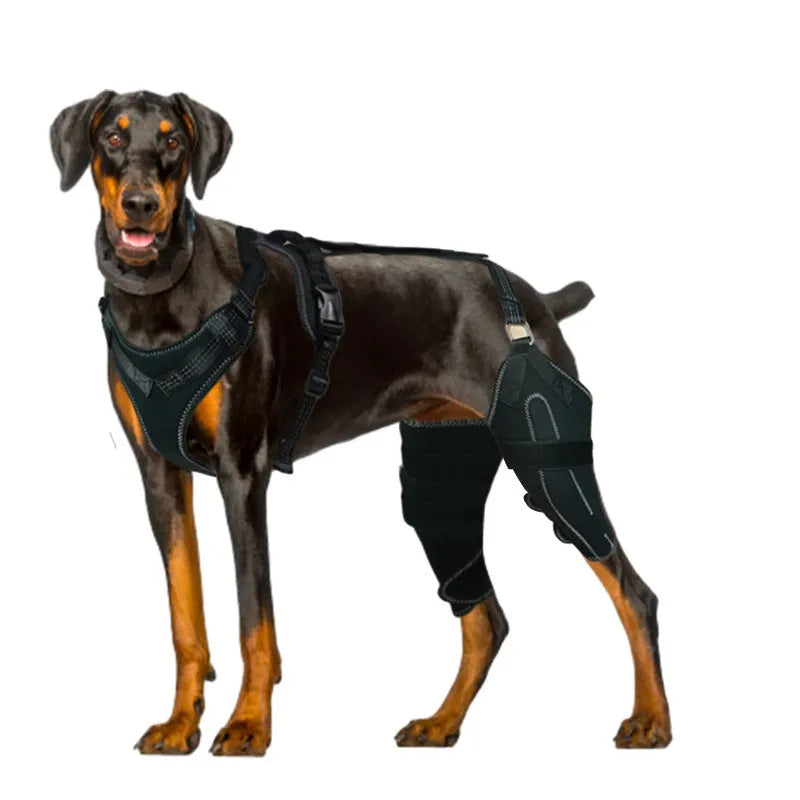 Black dog thigh protective sleeve with adjustable metal support for postoperative leg protection