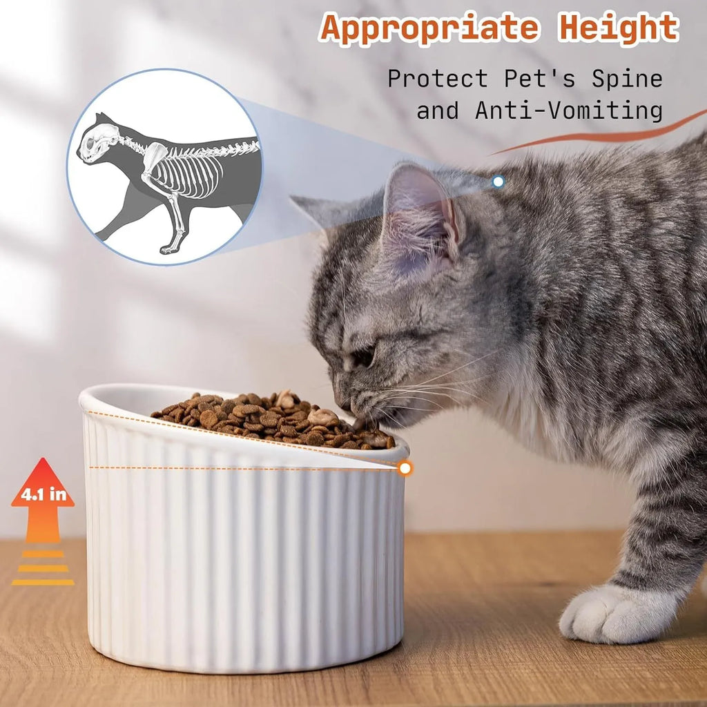 Ceramic elevated cat bowl in green colour with tilted round design for comfortable feeding.