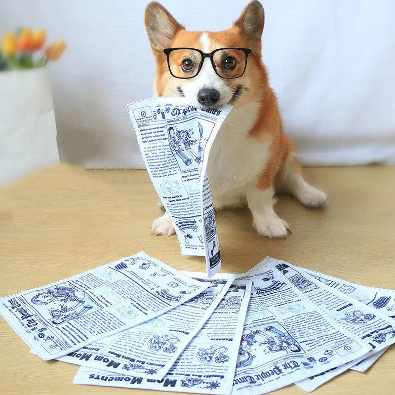 Tearproof squeaking dog toy in playing card or newspaper design for corgi and terrier breeds