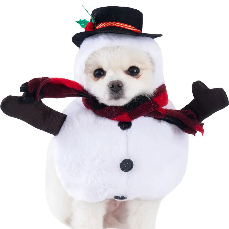 Halloween dog costume selection showing bat, clown, devil, and pumpkin designs for dogs.