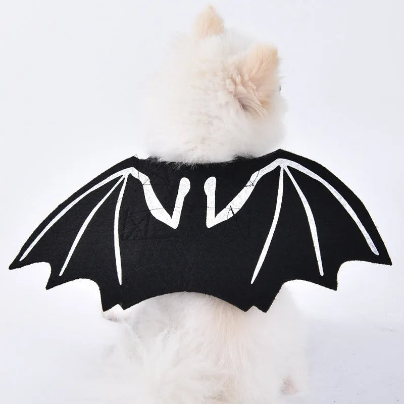 Halloween dog costume selection showing bat, clown, devil, and pumpkin designs for dogs.