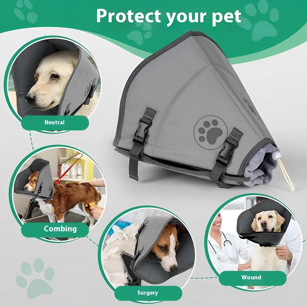 Adjustable polyester pet sterilization collar in sizes L, M, XL shown on a dog.