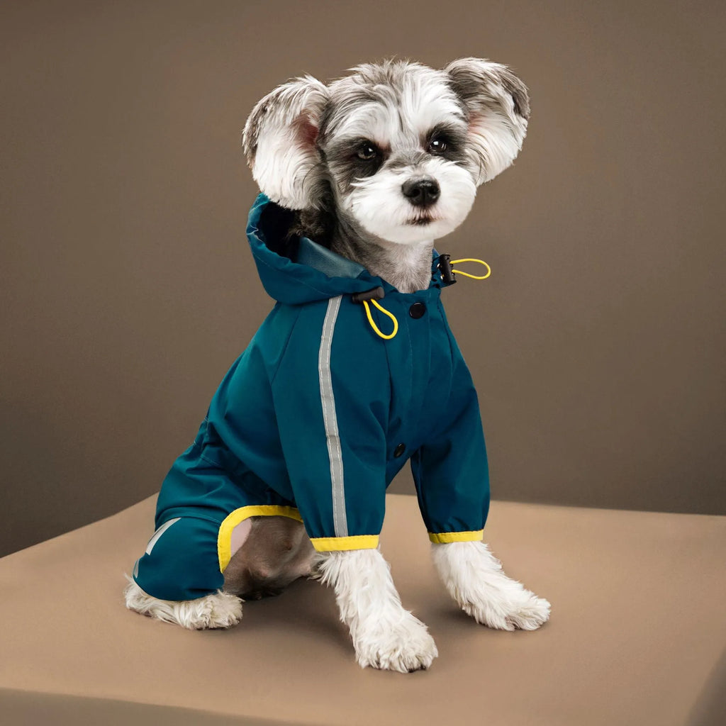 Dog wearing a four-legged waterproof raincoat in a yellow colour, standing on grass