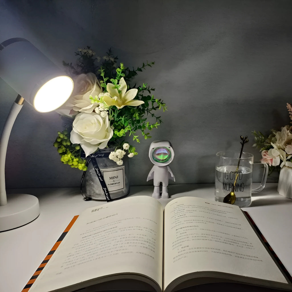 Black and white double-headed photography streaming lamp with metal holder