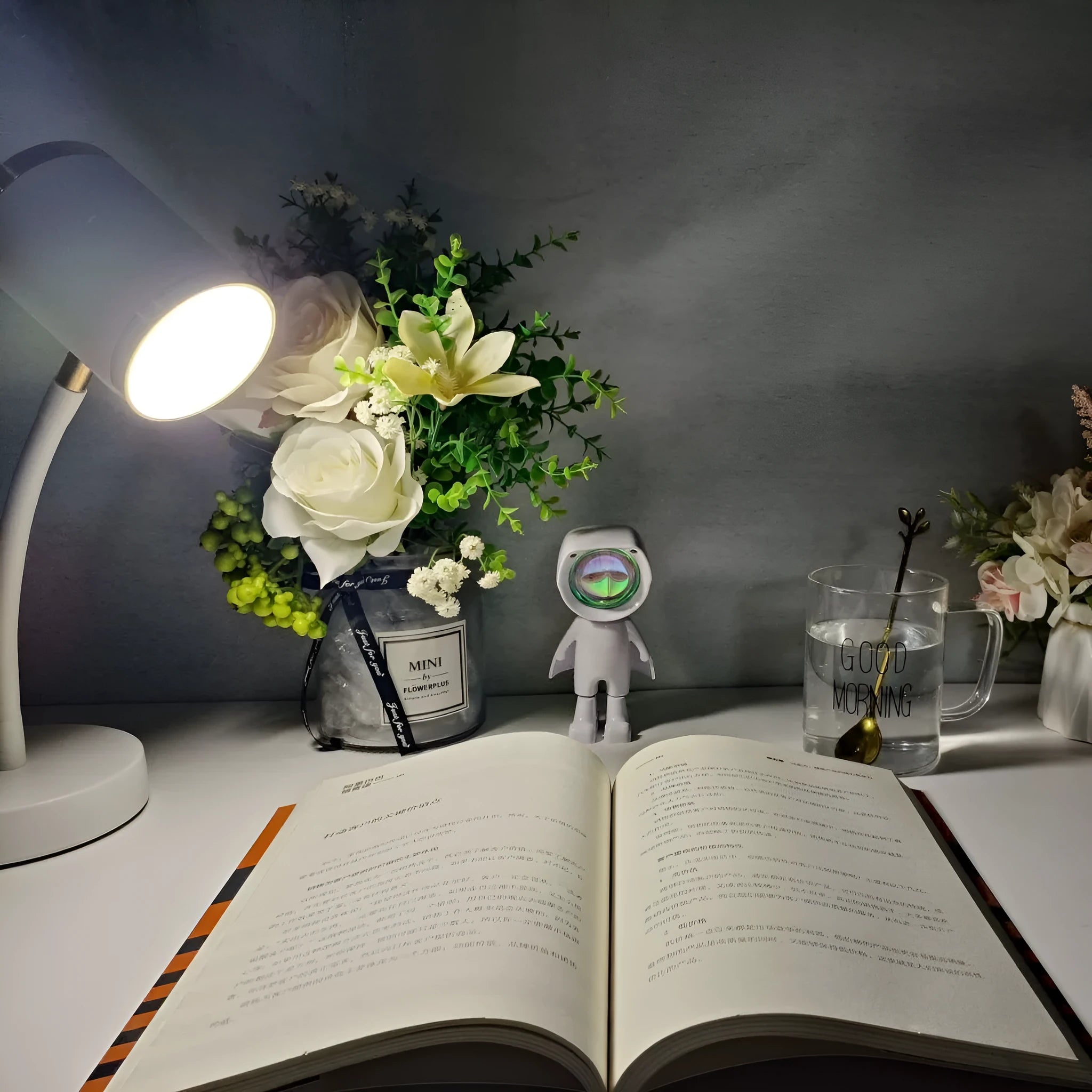 Black and white double-headed photography streaming lamp with metal holder