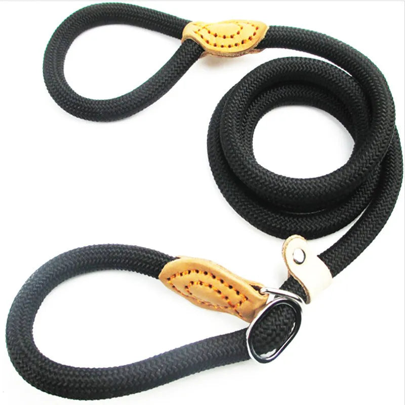 Brown nylon dog leash with a padded hand-holding rope and P chain clip, shown at full 2.1-metre length.