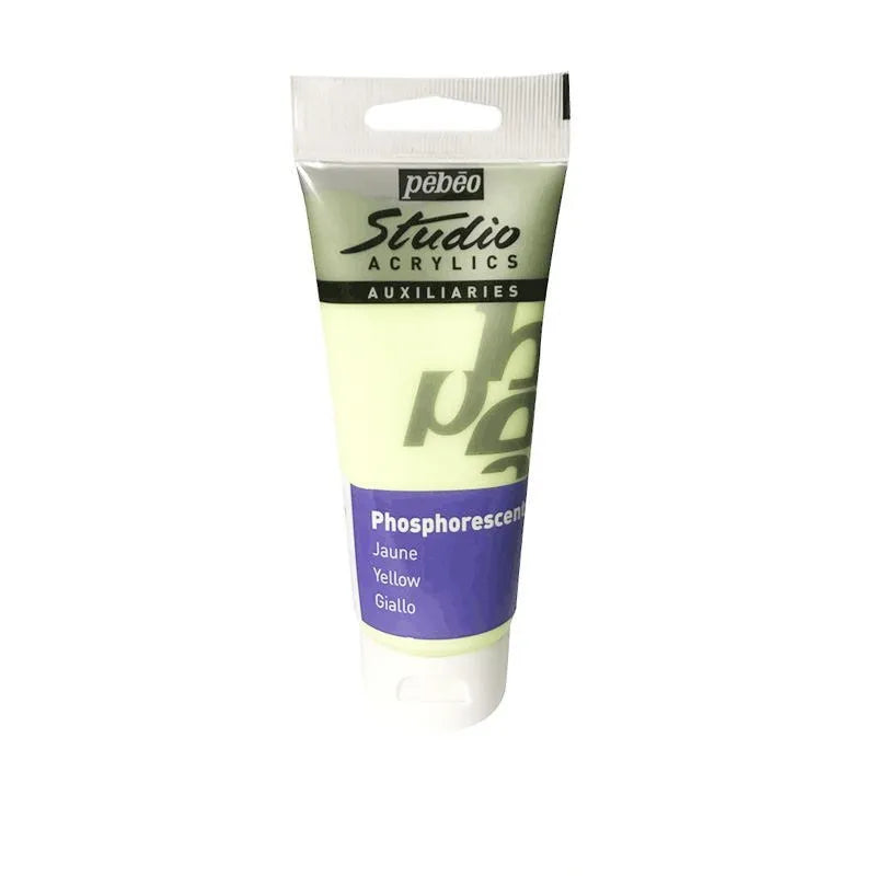 100ml luminous acrylic paint toning glue bottle in glow colours with brushes and painting knives