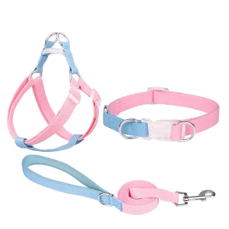 Polyester ribbon dog collar and leash set with adjustable collar and chest strap in five colour options