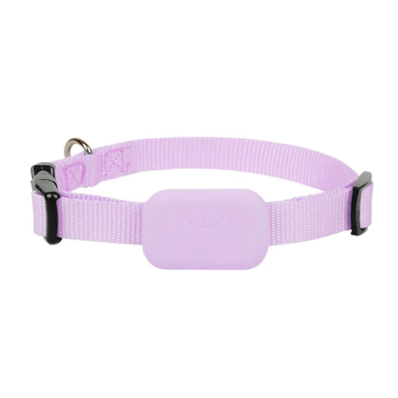 Pet positioning collar with adjustable band showing black, blue and pink colour options