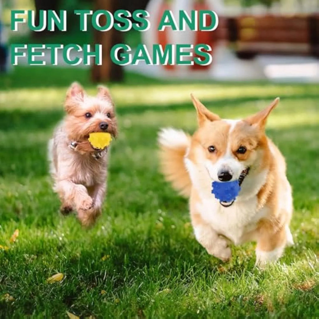 Set of four brightly coloured spiked dog balls with paw print dimples, each 5 cm in diameter