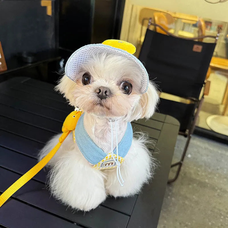 Pet harness and leash set with wire rope, cute hat, and three-piece cat clothes for small dogs and cats.
