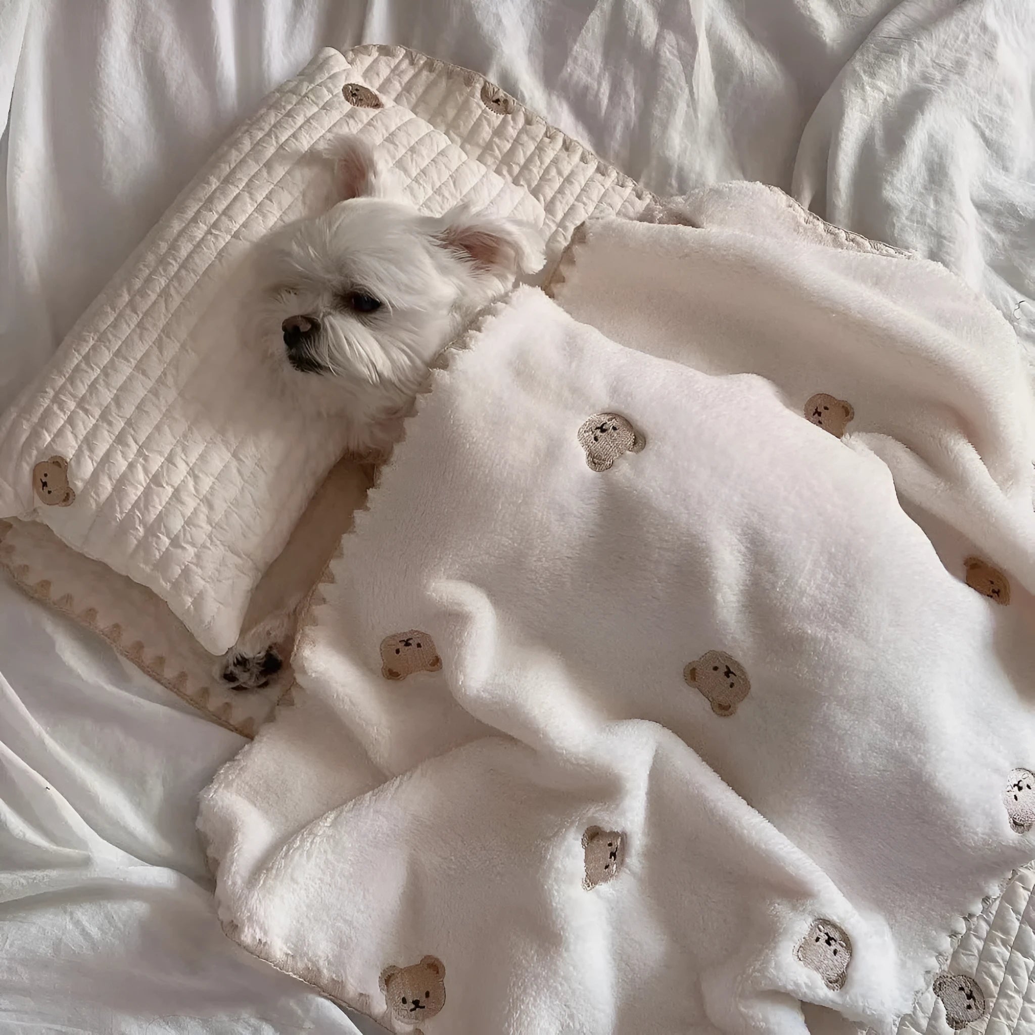 Simple Bear three-piece dog bed set with removable pillow, mattress and comforter in square mat format
