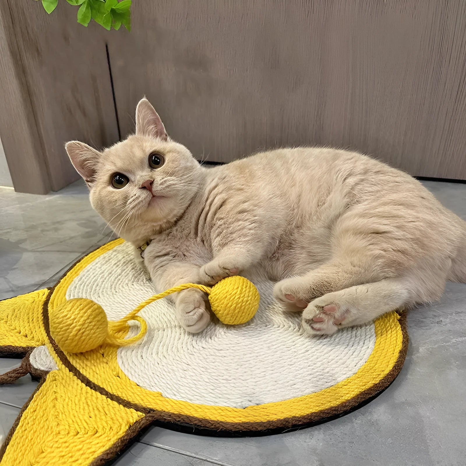 Yellow corgi butt design sisal cat scratching board measuring 37 by 40 centimetres with anti-slip base