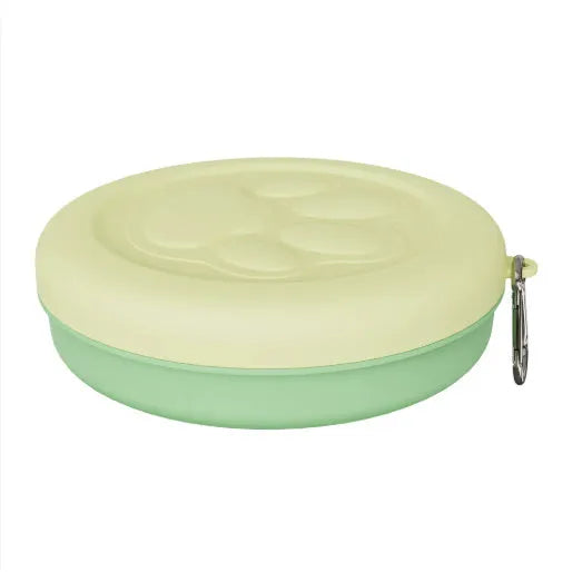 Portable outdoor dog food and water bowl in pink and green colour options.