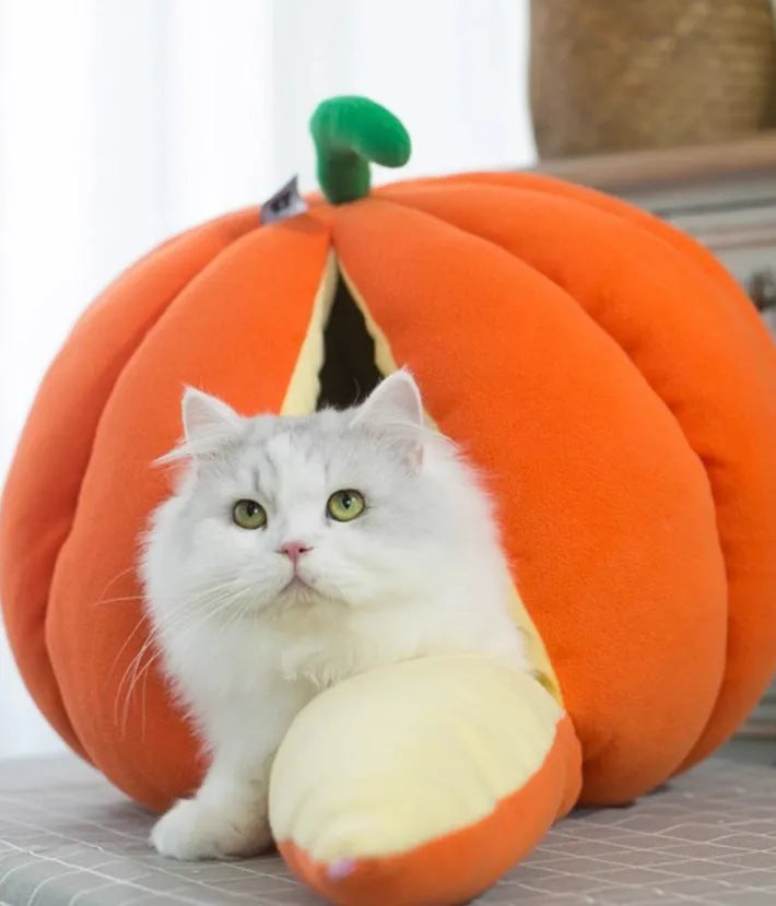 Semi-enclosed pet pumpkin nest in orange PP cotton coralline fabric for cats and small dogs