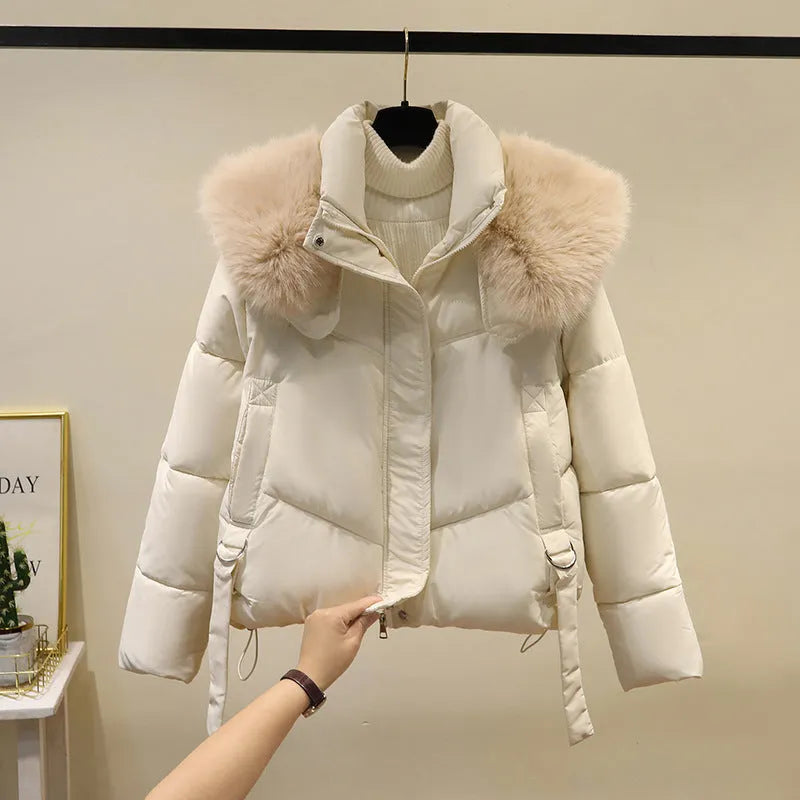 Women's short cotton-padded jacket with stand-up collar in black, loose fit, front view