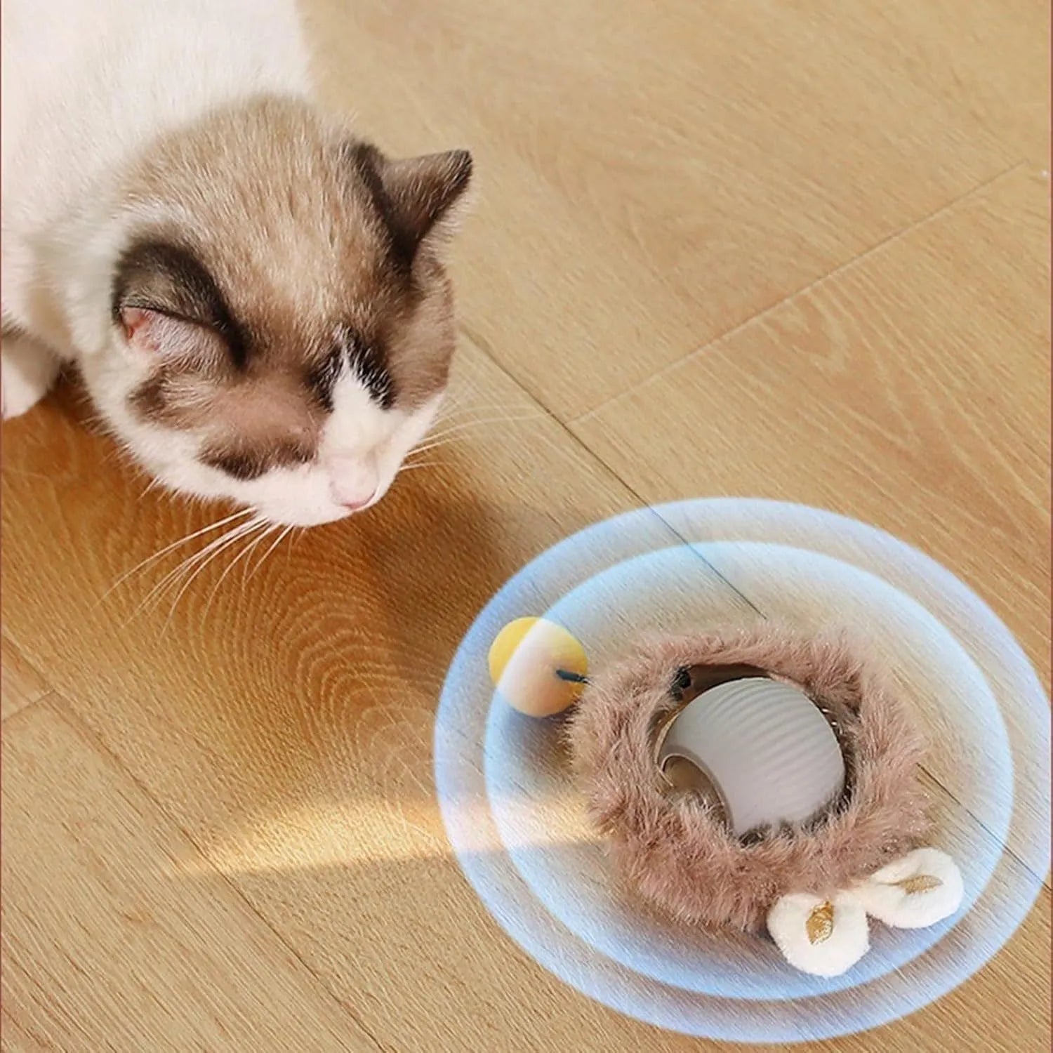 Automatic rotating pet ball with string in grey, green, and red colours for dogs and cats