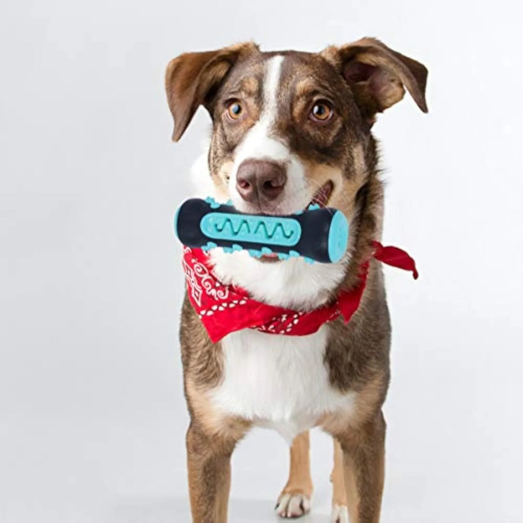 Natural rubber dog toothbrush chew toy in blue, showing textured surface for dental cleaning.