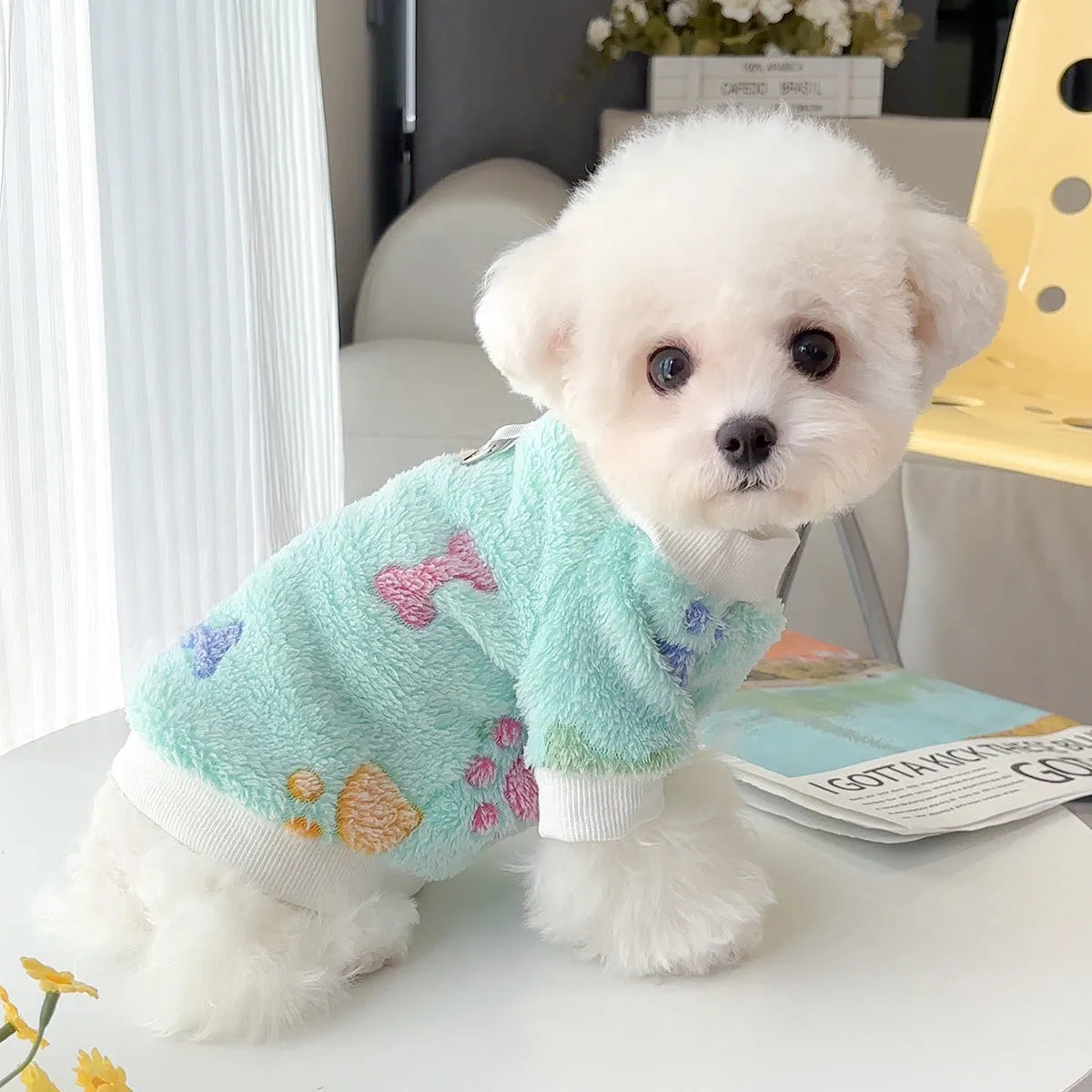 Blue paw print cotton flannel pet coat for dogs and cats, size medium, laid flat