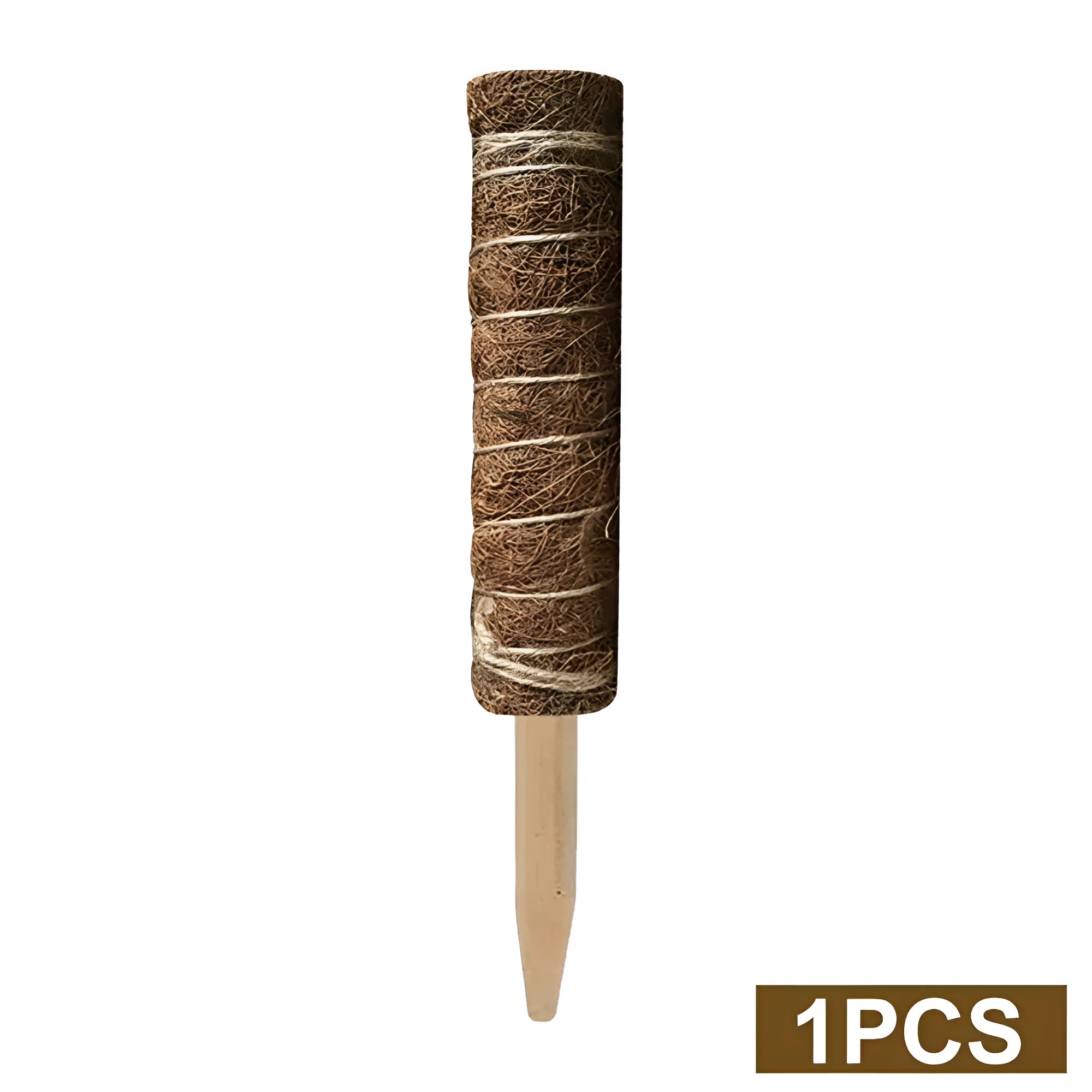 Green radish coconut palm stick with natural coconut moss fibre, wooden pole, and rope wrapping for indoor climbing plant support