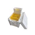Set of three white EPS foam mini delivery boxes for queen bee rearing and breeding, with foam texture visible