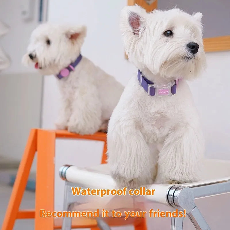 Smoky grey nylon dog collar and lead set shown with a 2.1 metre length lead.