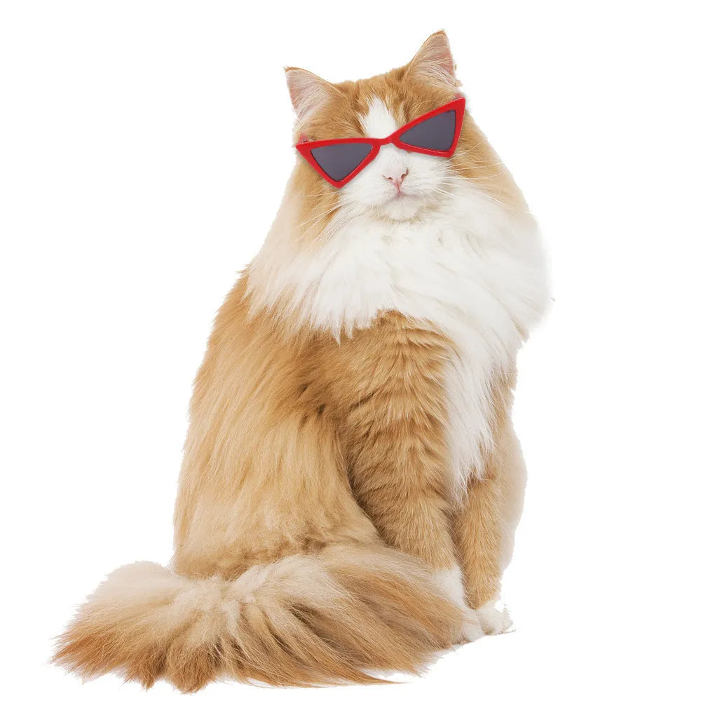 Funny plastic glasses in yellow for dogs and cats, measuring 8.5cm length