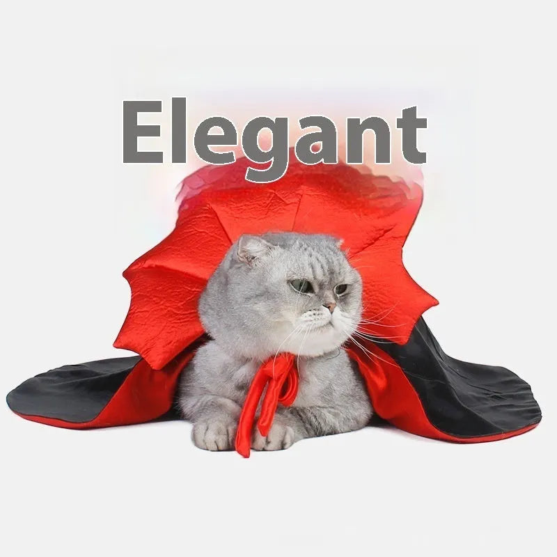 Black and red Halloween costume for pet dog or cat on hanger