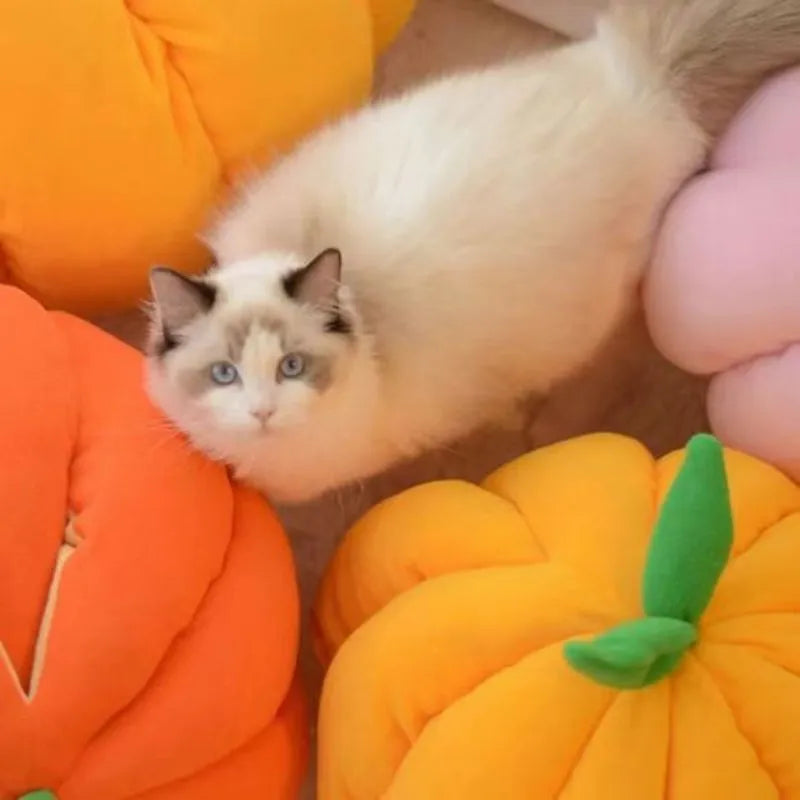 Semi-enclosed pet pumpkin nest in orange PP cotton coralline fabric for cats and small dogs