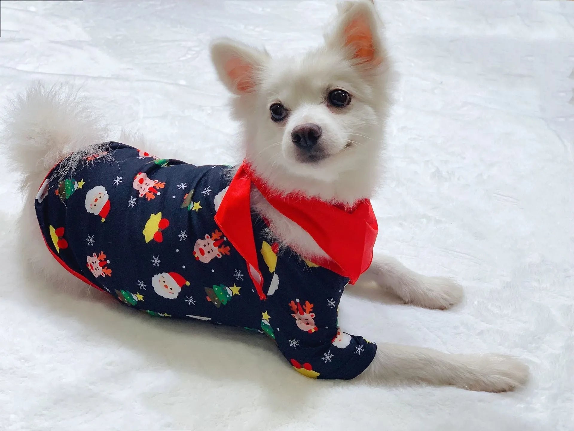Family Christmas pajamas matching set in cotton with plaid design including dog size