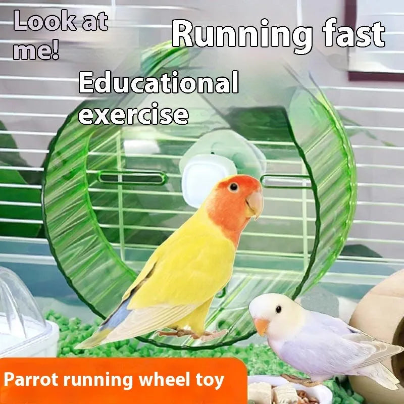 A transparent plastic parrot running wheel toy, showing the Xuanfeng peony bird treadmill design.