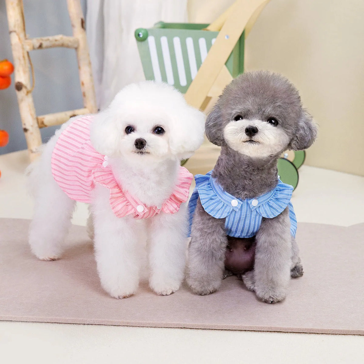 Pink and blue stripe vertical stripe princess style dog dress on female dog
