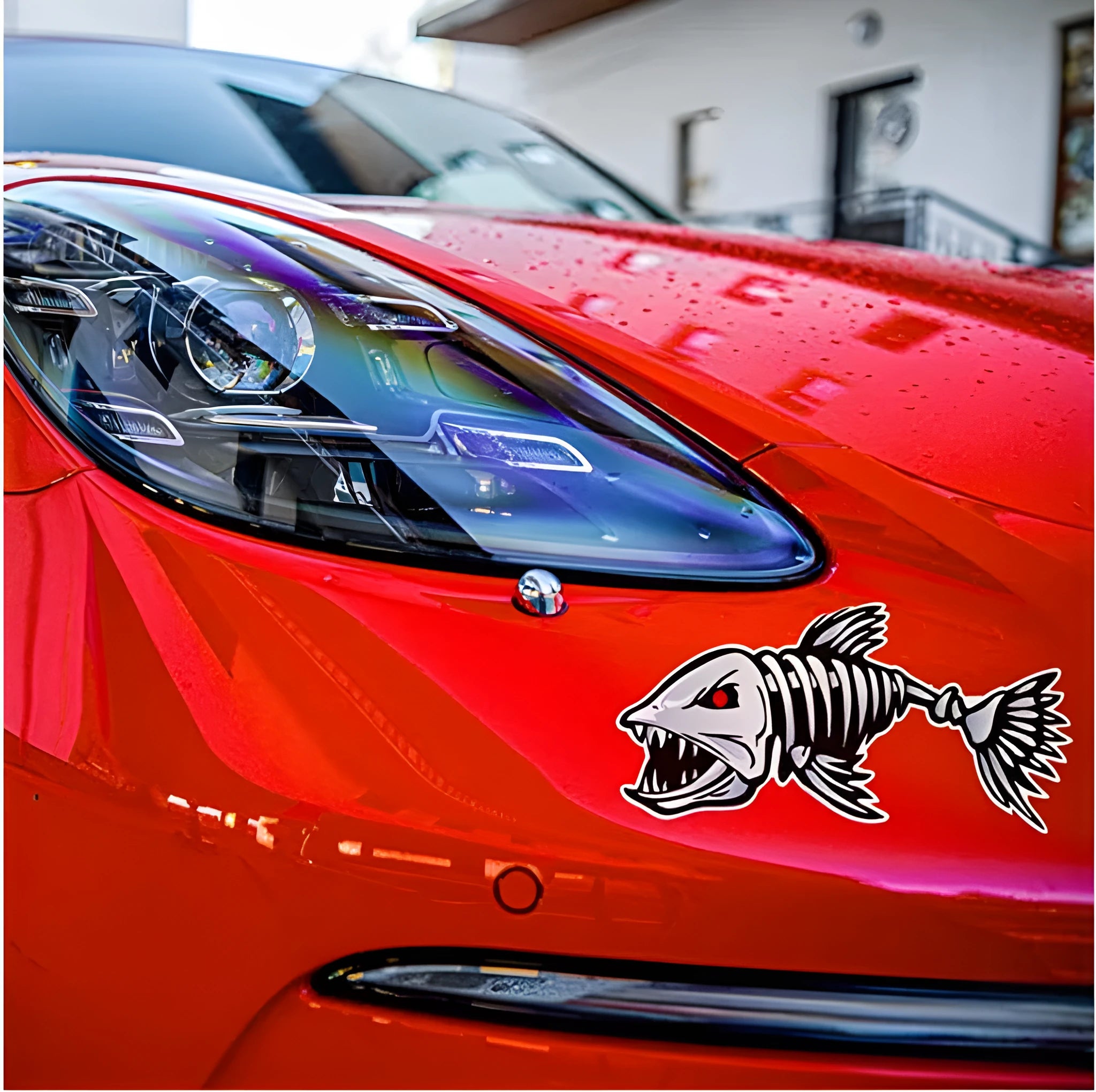 Horror skeleton shark fish-skeleton hanger reflective bumper stickers in three size pairs